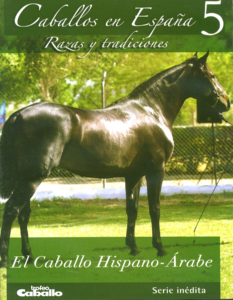 El caballo Hispano-Árabe