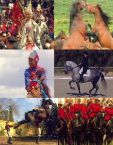 Colección Enciclopedia Mundial del caballo